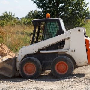 Bobcat