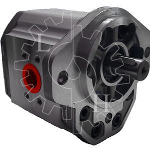 SNP3 22D CI07